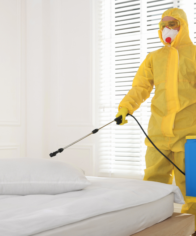 Professional Pest Control Team in Kersbrook